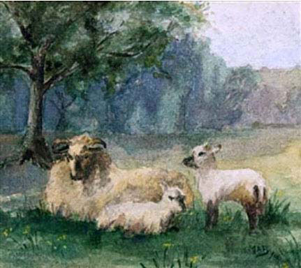Ewe and Lambs